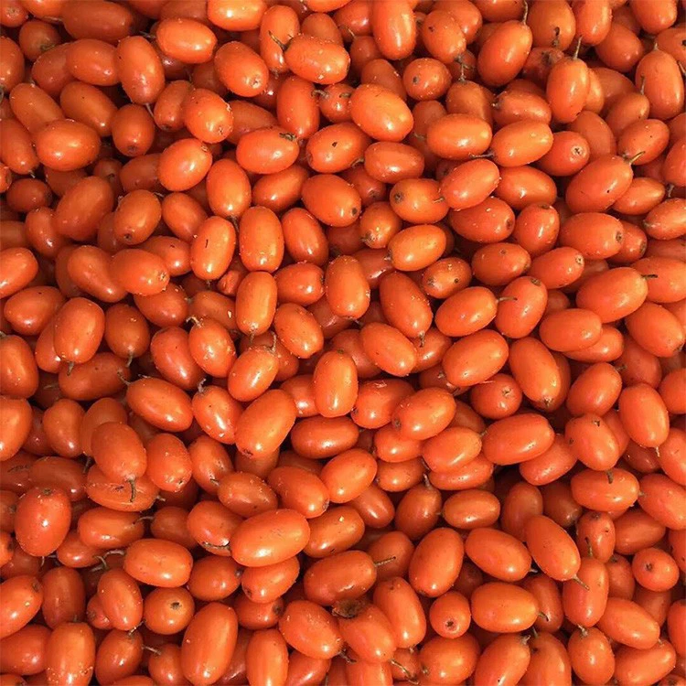 IQF buckthorn berries