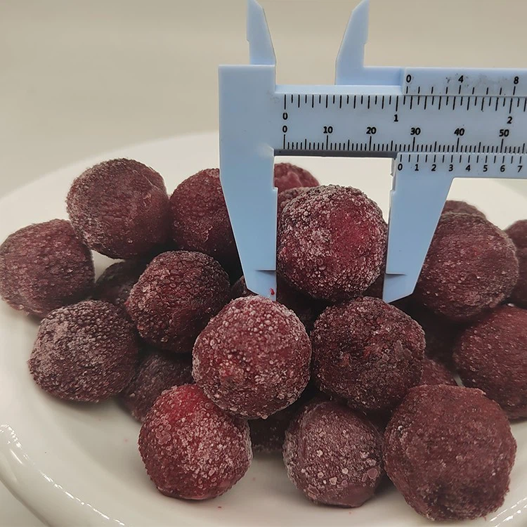 Frozen Red bayberry