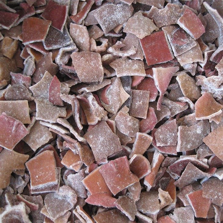 بلیک فنگس سلائس