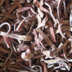 بلیک فنگس سٹرپس