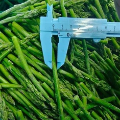 منجمد تازہ Asparagus Spears