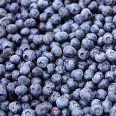 منجمد بغیر میٹھے بلو بیریز