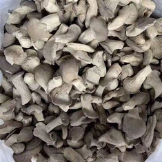 اویسٹر گرے مشروم