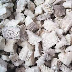 اویسٹر مشروم کٹے ہوئے۔