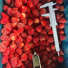 بلک منجمد اسٹرابیری