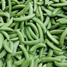 منجمد چینی مٹر