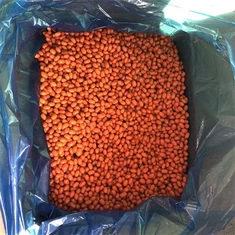 آئی کیو ایف سی بکتھورن